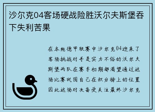 沙尔克04客场硬战险胜沃尔夫斯堡吞下失利苦果